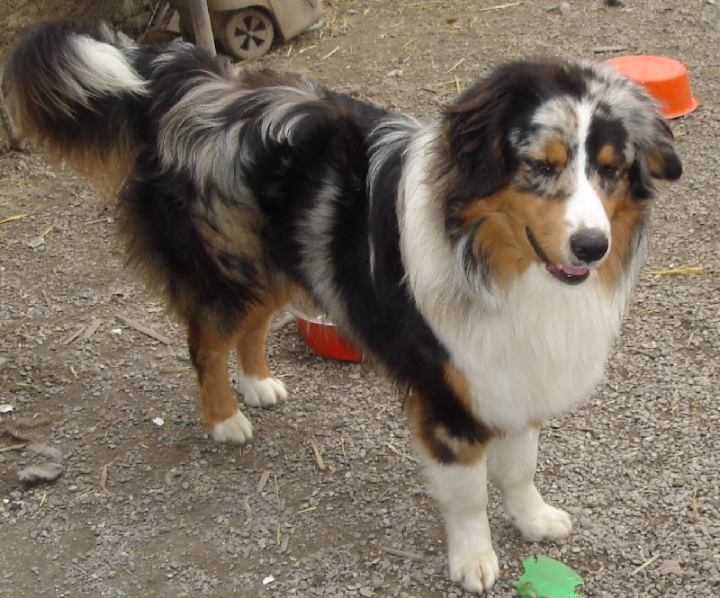 Houragan beautiful boy De L'arche Vickdgyn